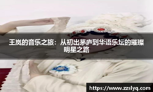 王岚的音乐之旅：从初出茅庐到华语乐坛的璀璨明星之路